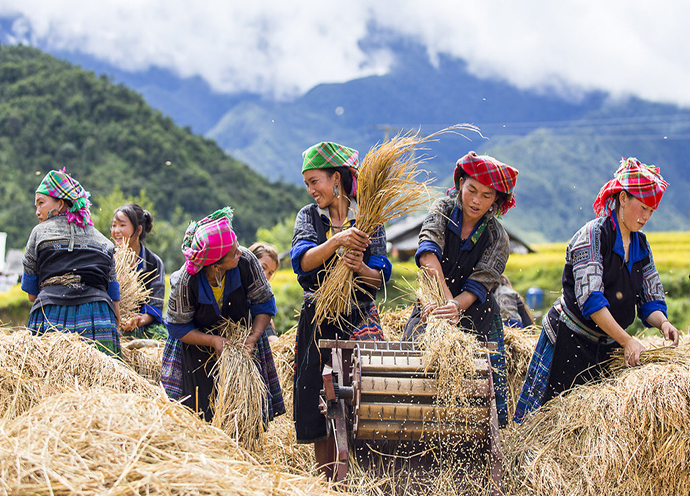 tour-mu-cang-chai-vietmountain-travel13